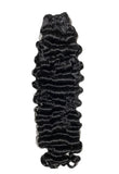 Burmese curly